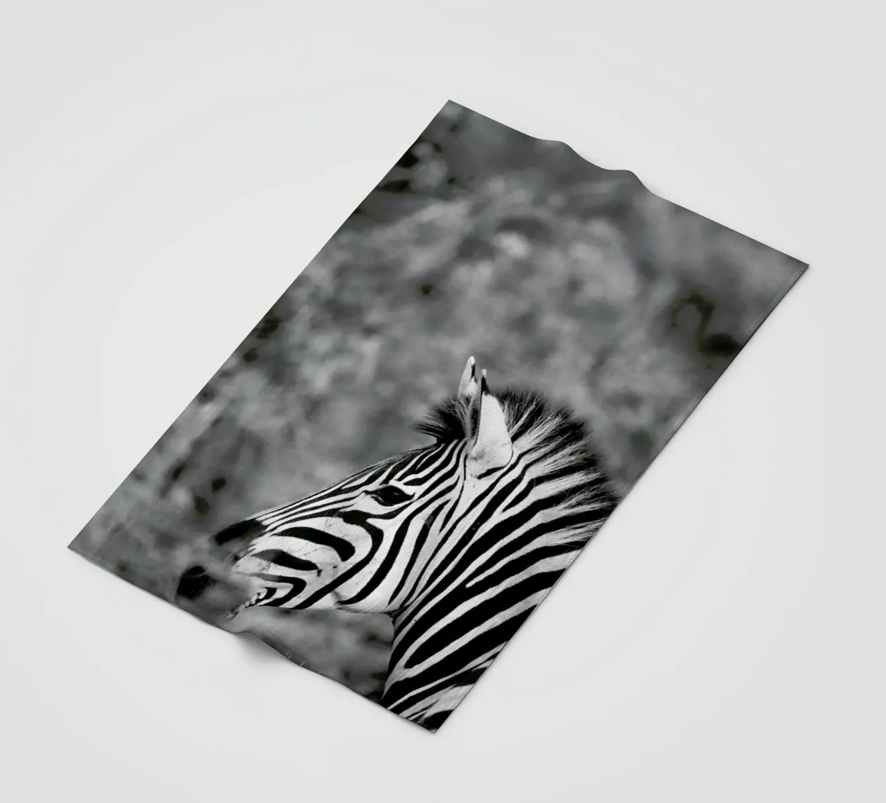 Zebra Fleecedecke von Shot By Clint