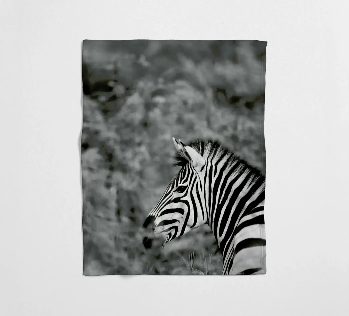 Zebra Fleecedecke von Shot By Clint