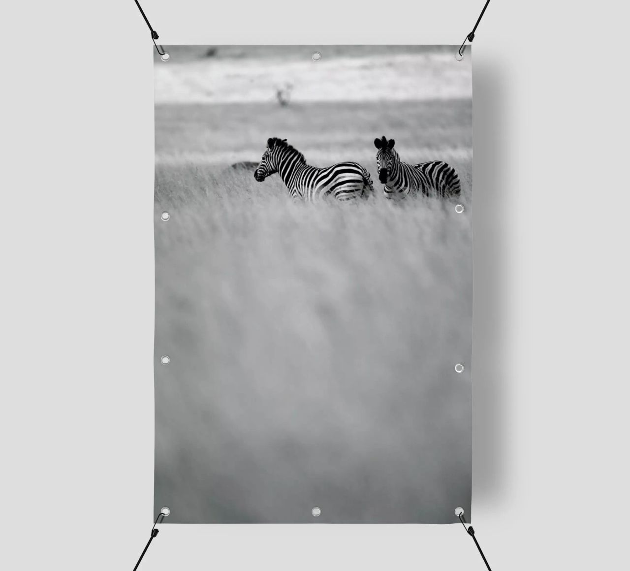 Zebra Pair telo in pvc da Shot By Clint