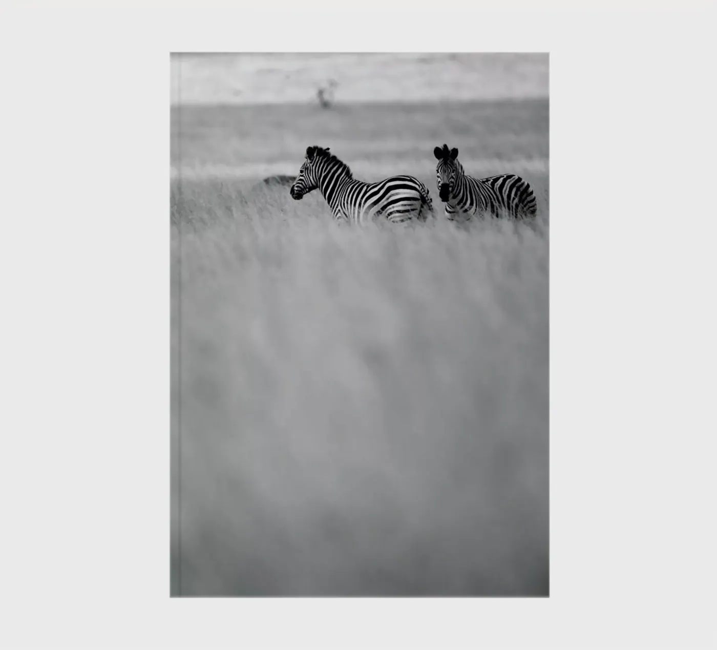 Zebra Pair notebook by Shot By Clint