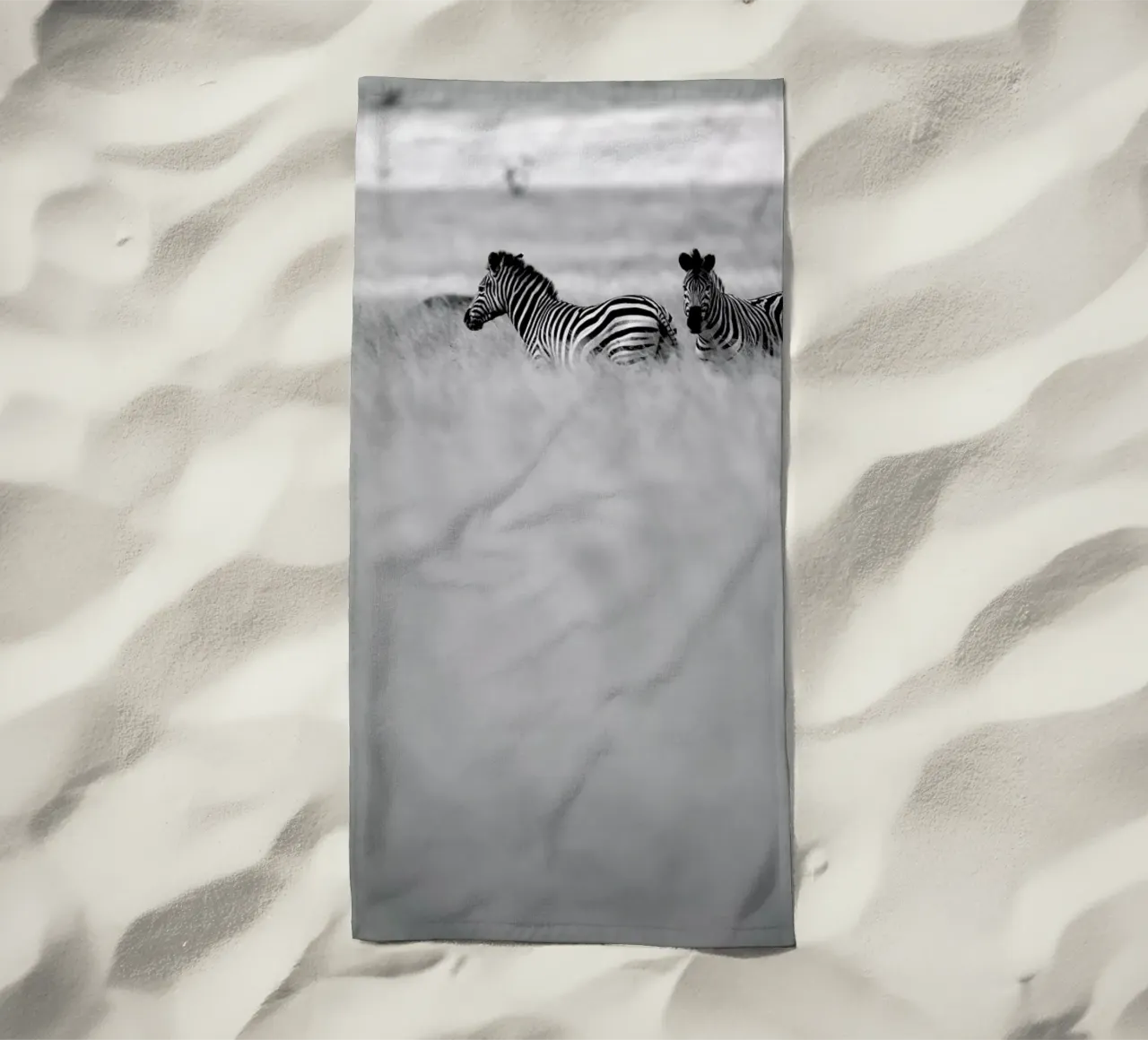 Zebra Pair telo mare da Shot By Clint