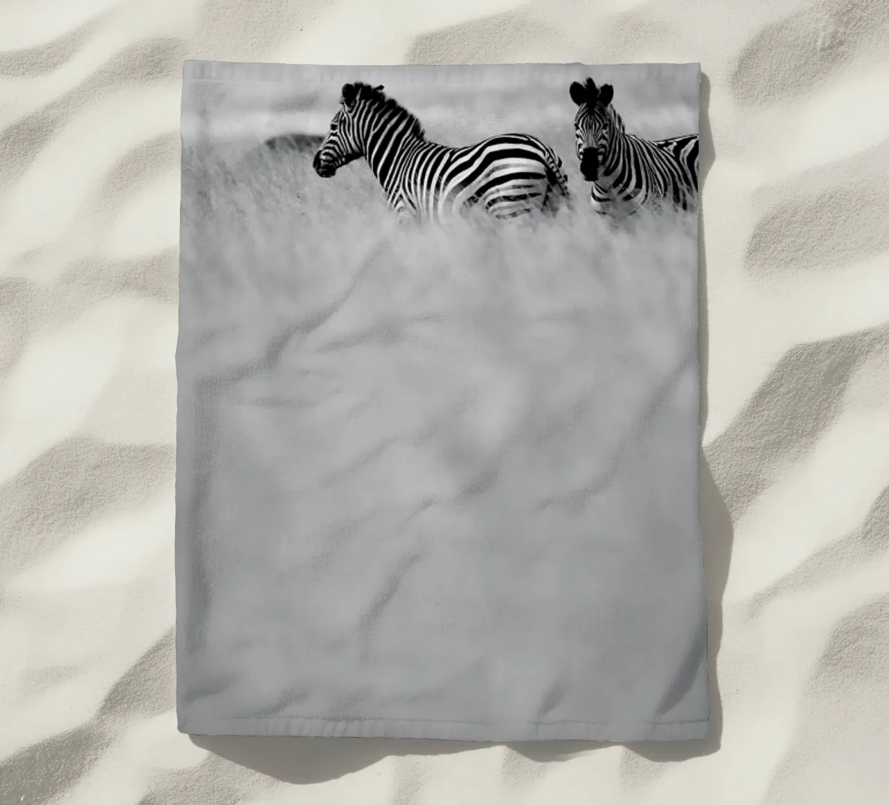 Zebra Pair telo mare da Shot By Clint