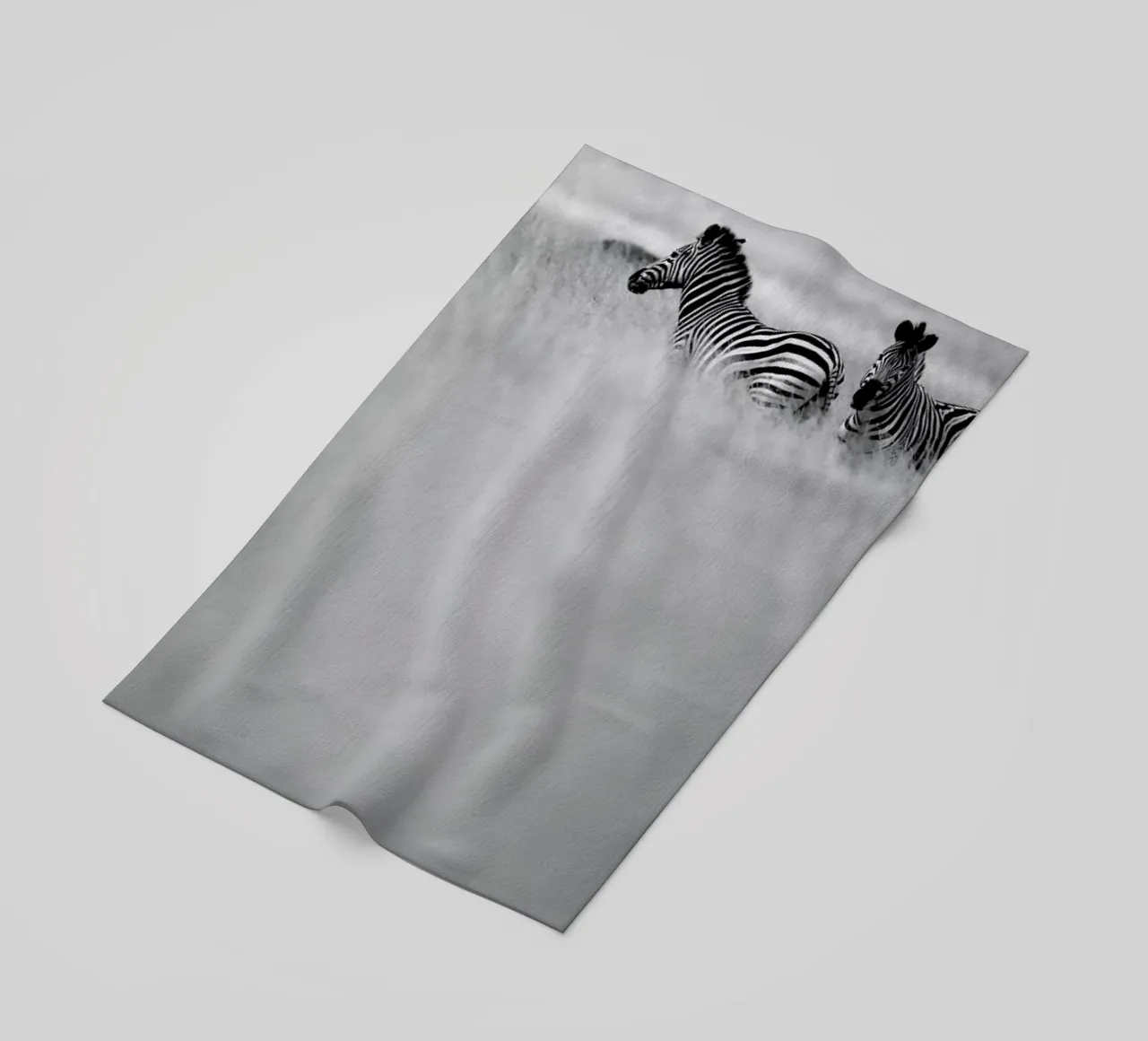 Zebra Pair telo mare da Shot By Clint