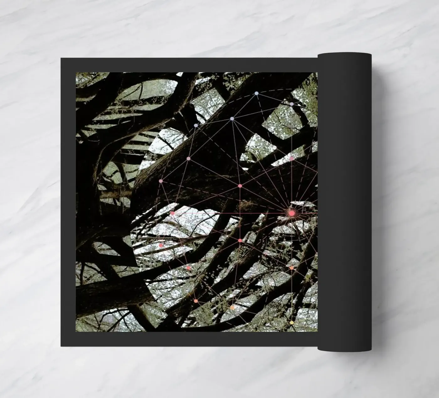 Afterlife zerbino da Nicolas Messaritis