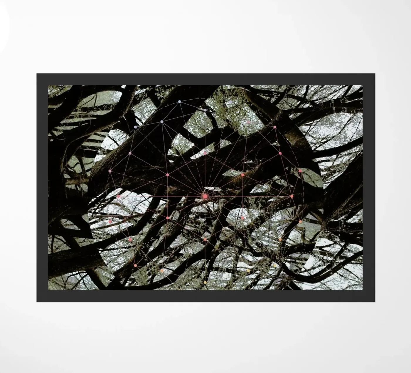 Afterlife zerbino da Nicolas Messaritis