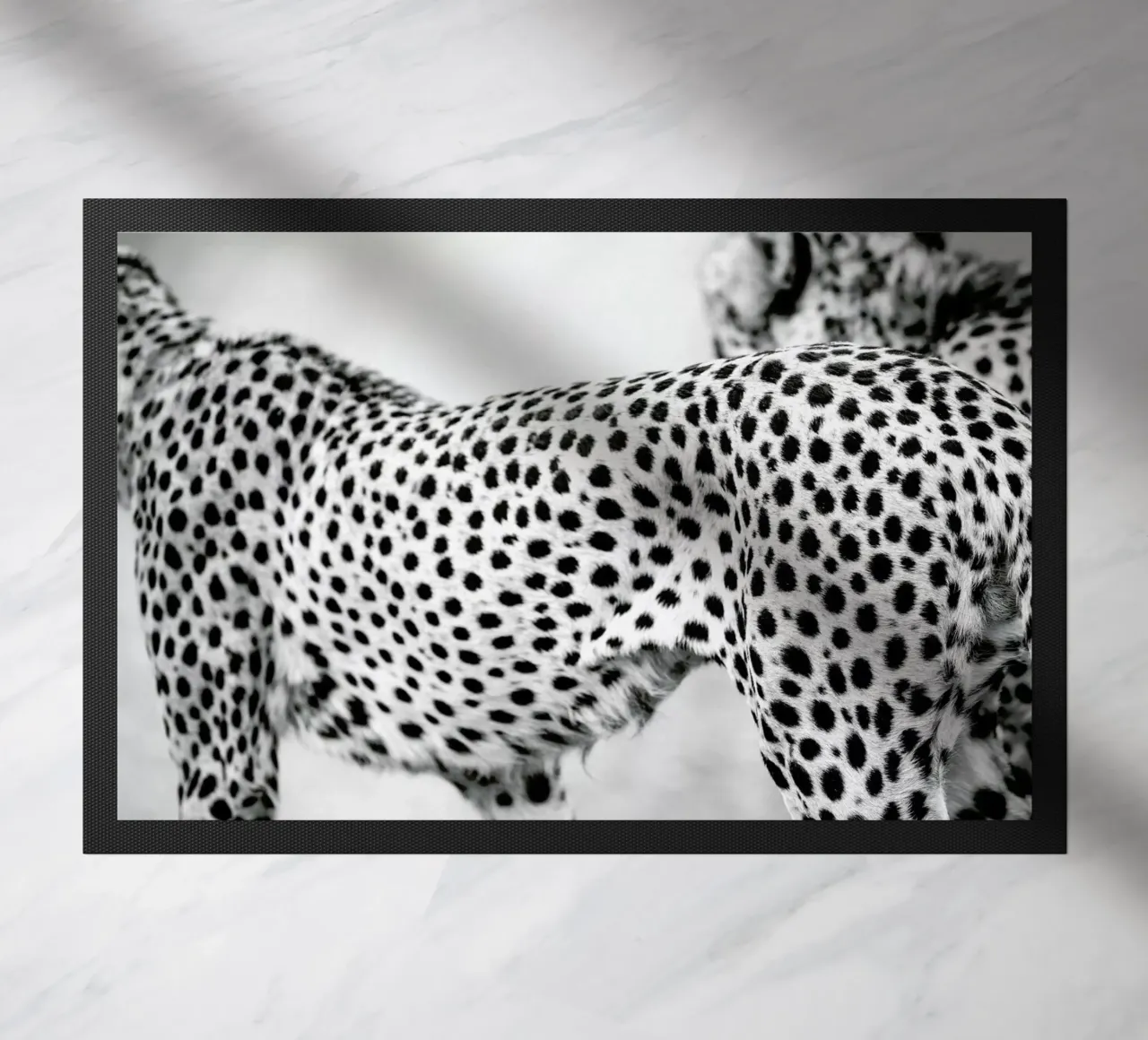 Cheetah zerbino da Shot By Clint