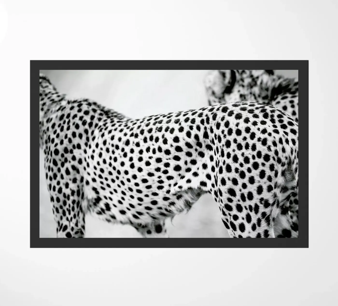 Cheetah deurmat van Shot By Clint