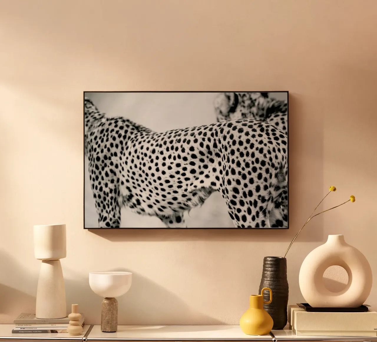 Cheetah plexiglass da Shot By Clint