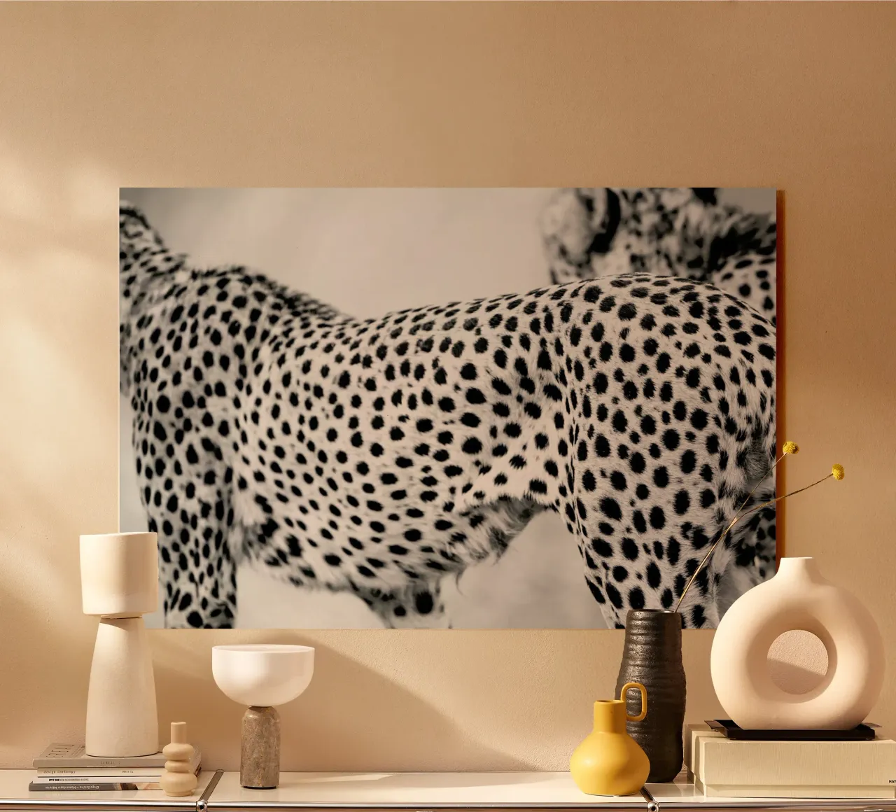 Cheetah plexiglass da Shot By Clint