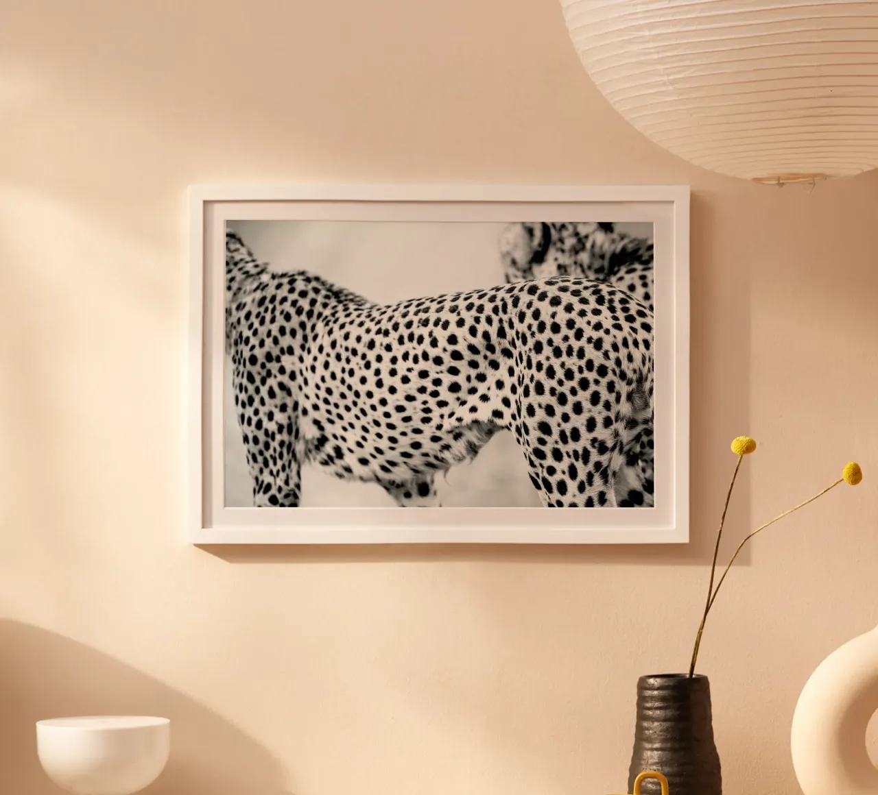 Cheetah poster da Shot By Clint