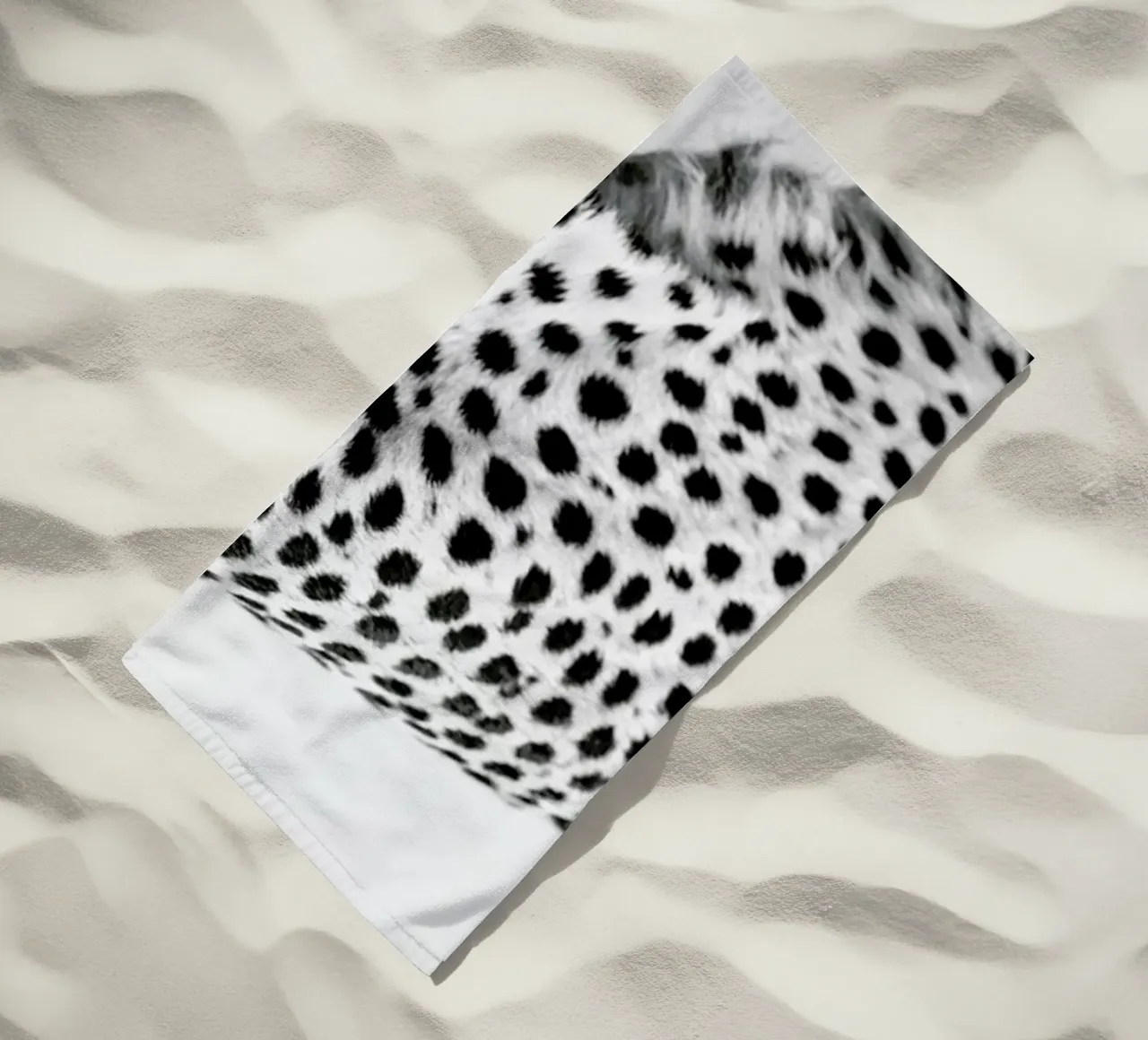 Cheetah telo mare da Shot By Clint