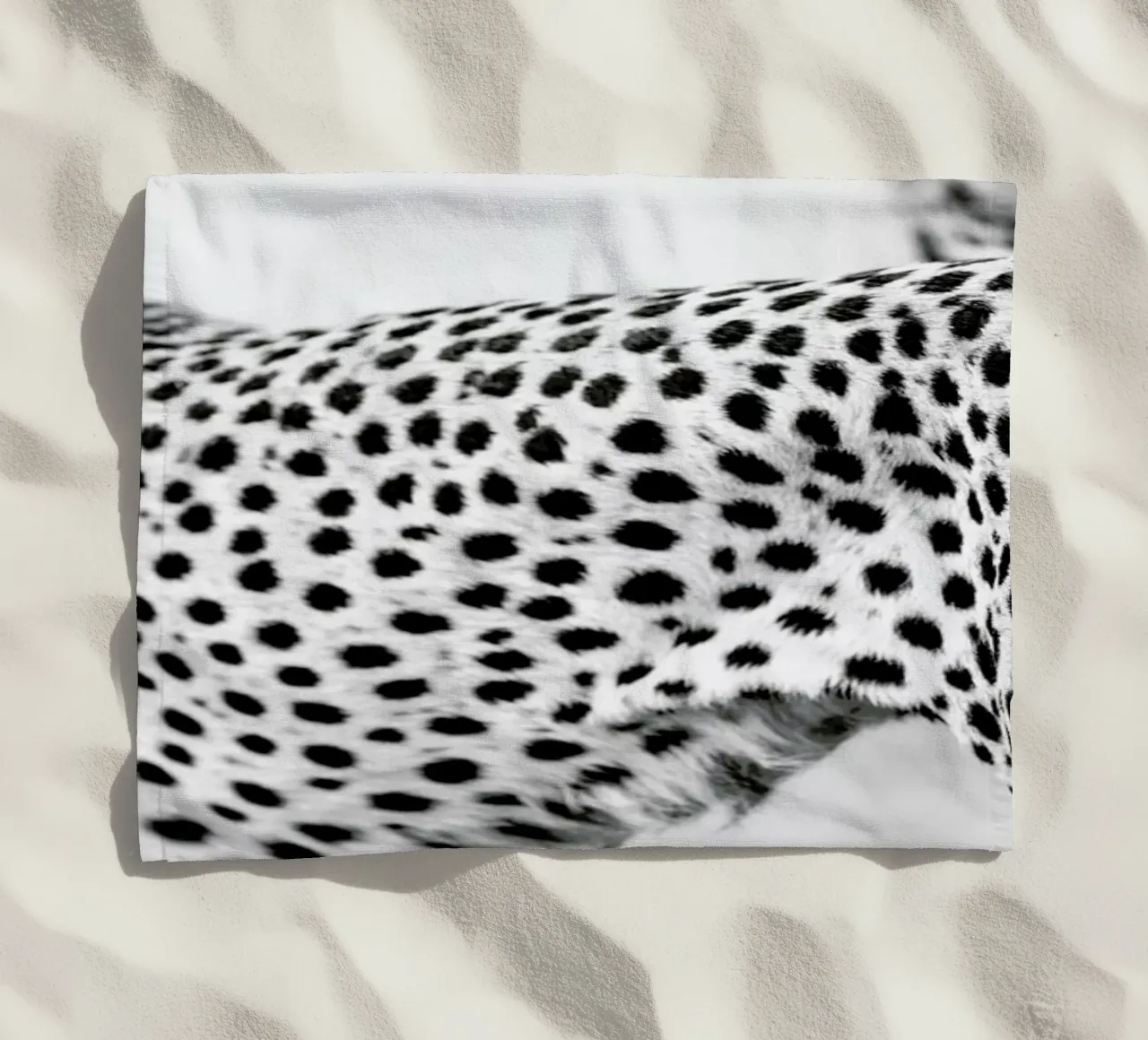 Cheetah telo mare da Shot By Clint