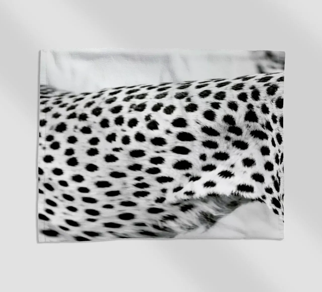 Cheetah telo mare da Shot By Clint