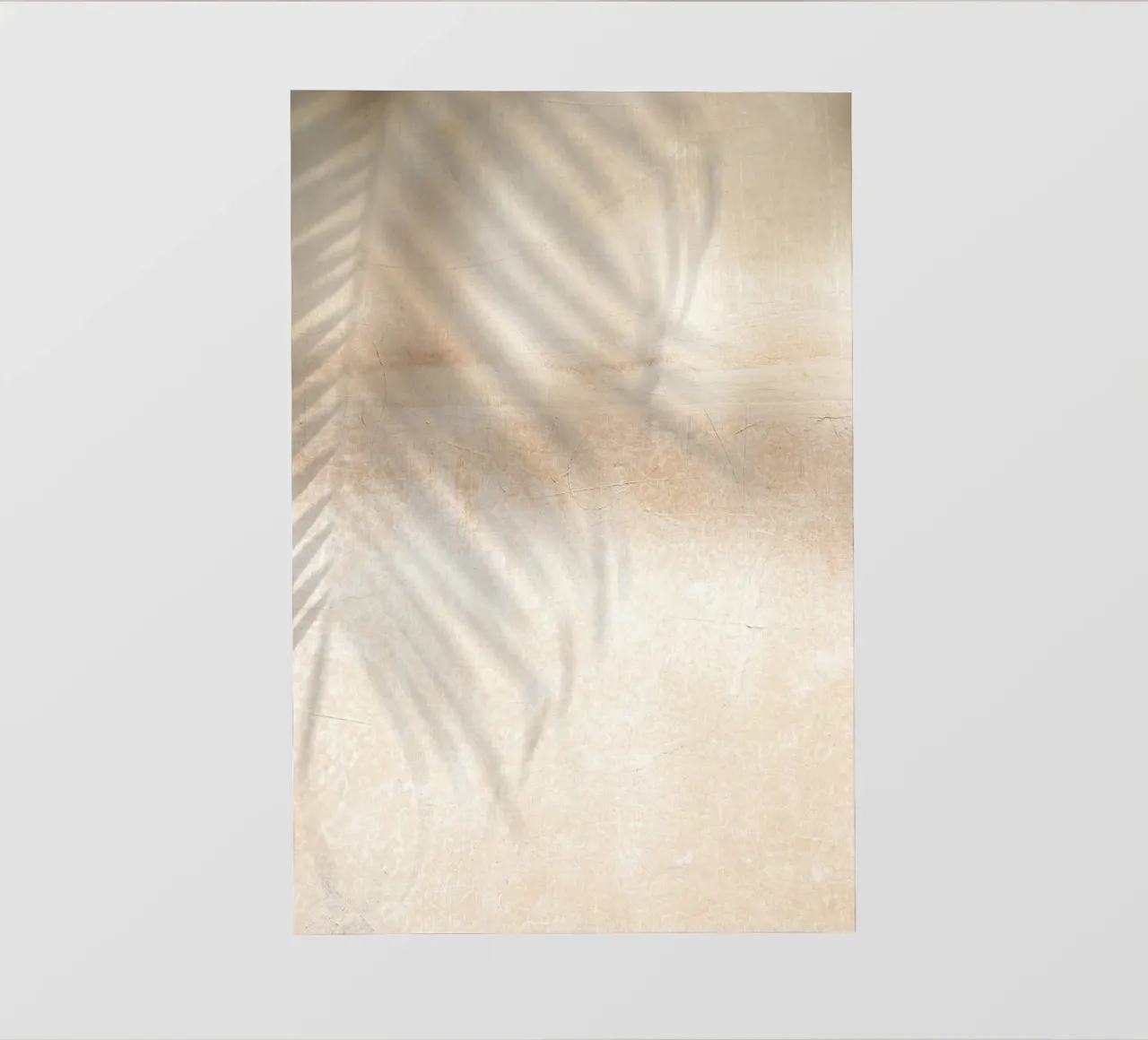 Ombra di foglie di palma pellicola backlit da Henrike Schenk Photography