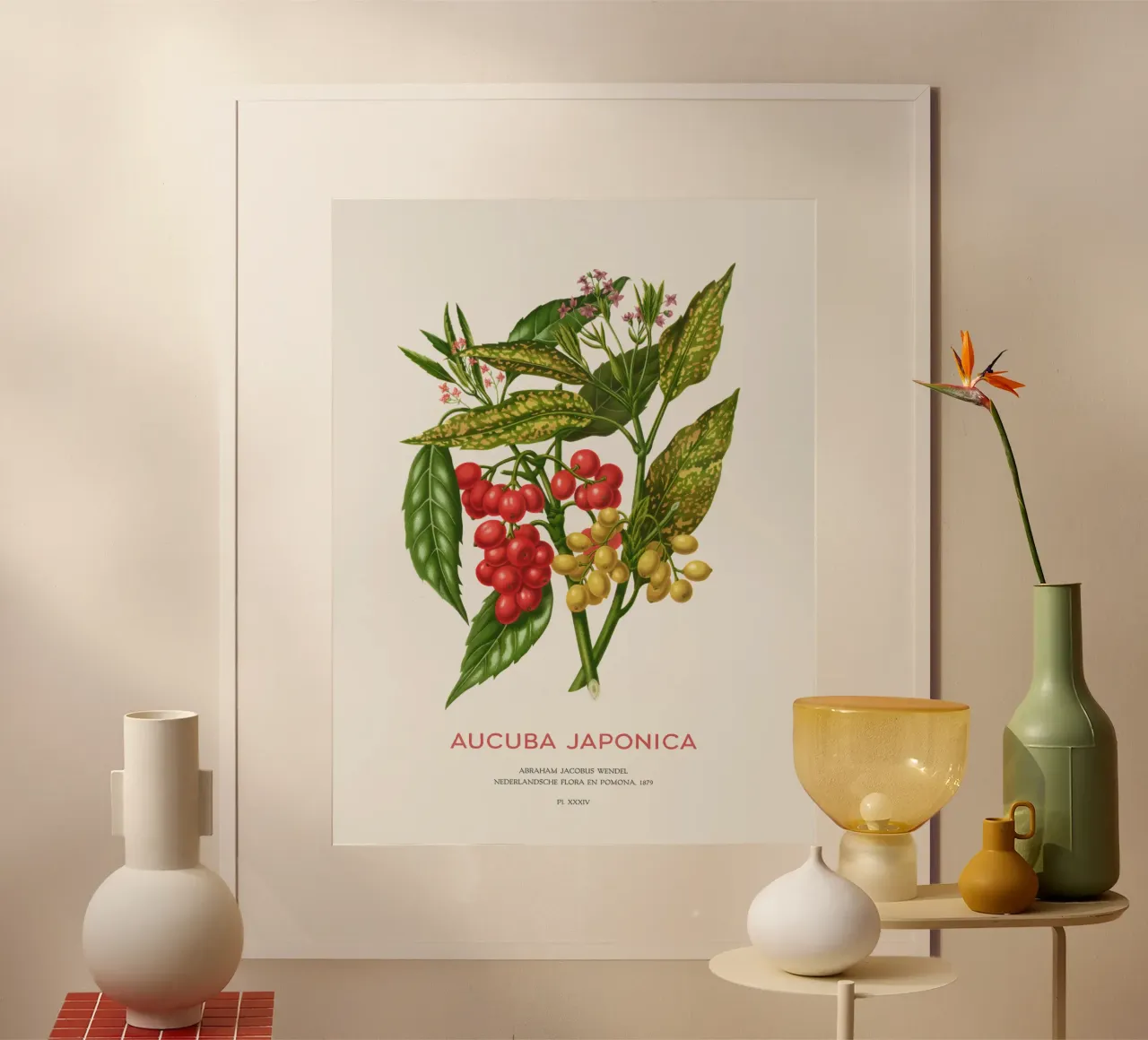 Aucuba japonica o Alloro maculato poster con telaio in legno da Vintagrafica