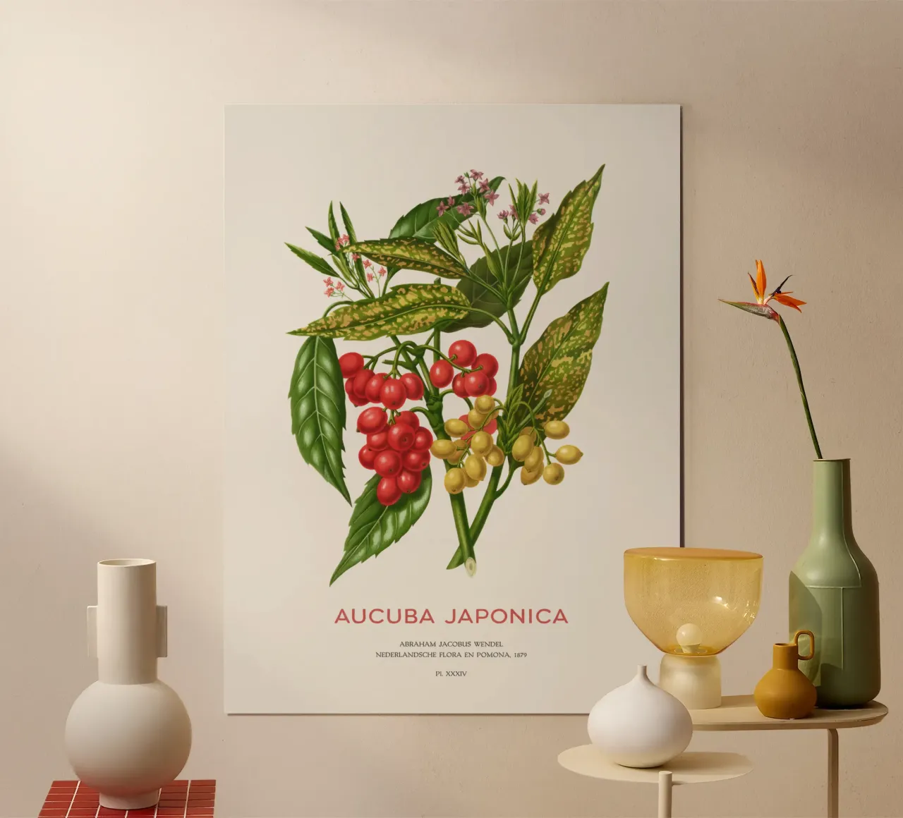 Aucuba japonica o Alloro maculato poster con telaio in legno da Vintagrafica