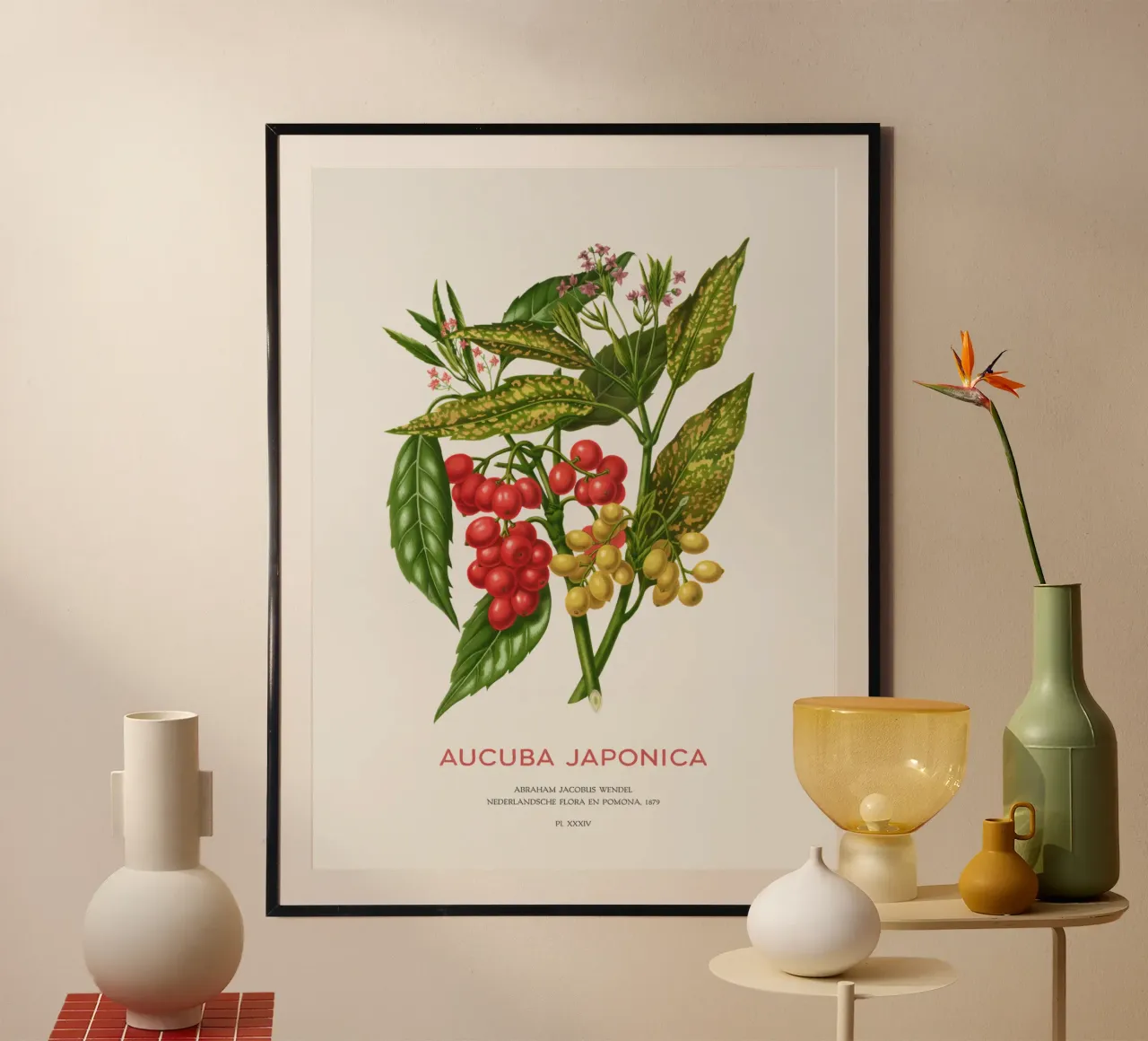 Aucuba japonica o Alloro maculato poster con telaio in legno da Vintagrafica
