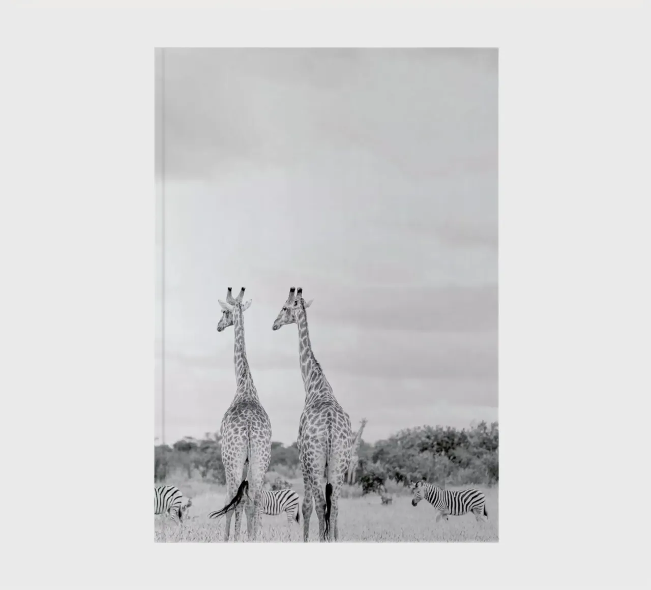 Giraph couple notebook by Shot By Clint