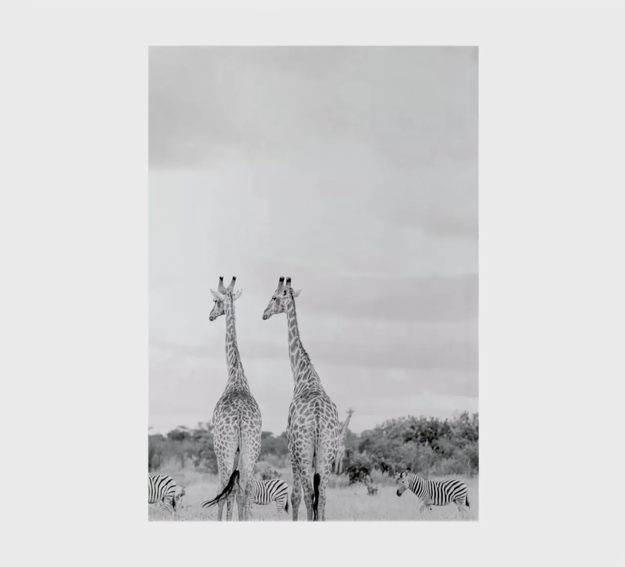 Giraph couple notebook by Shot By Clint