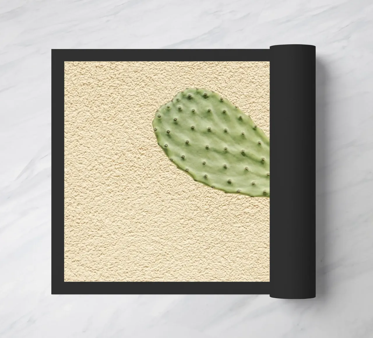 Cactus Gioco di ombre zerbino da Henrike Schenk Photography