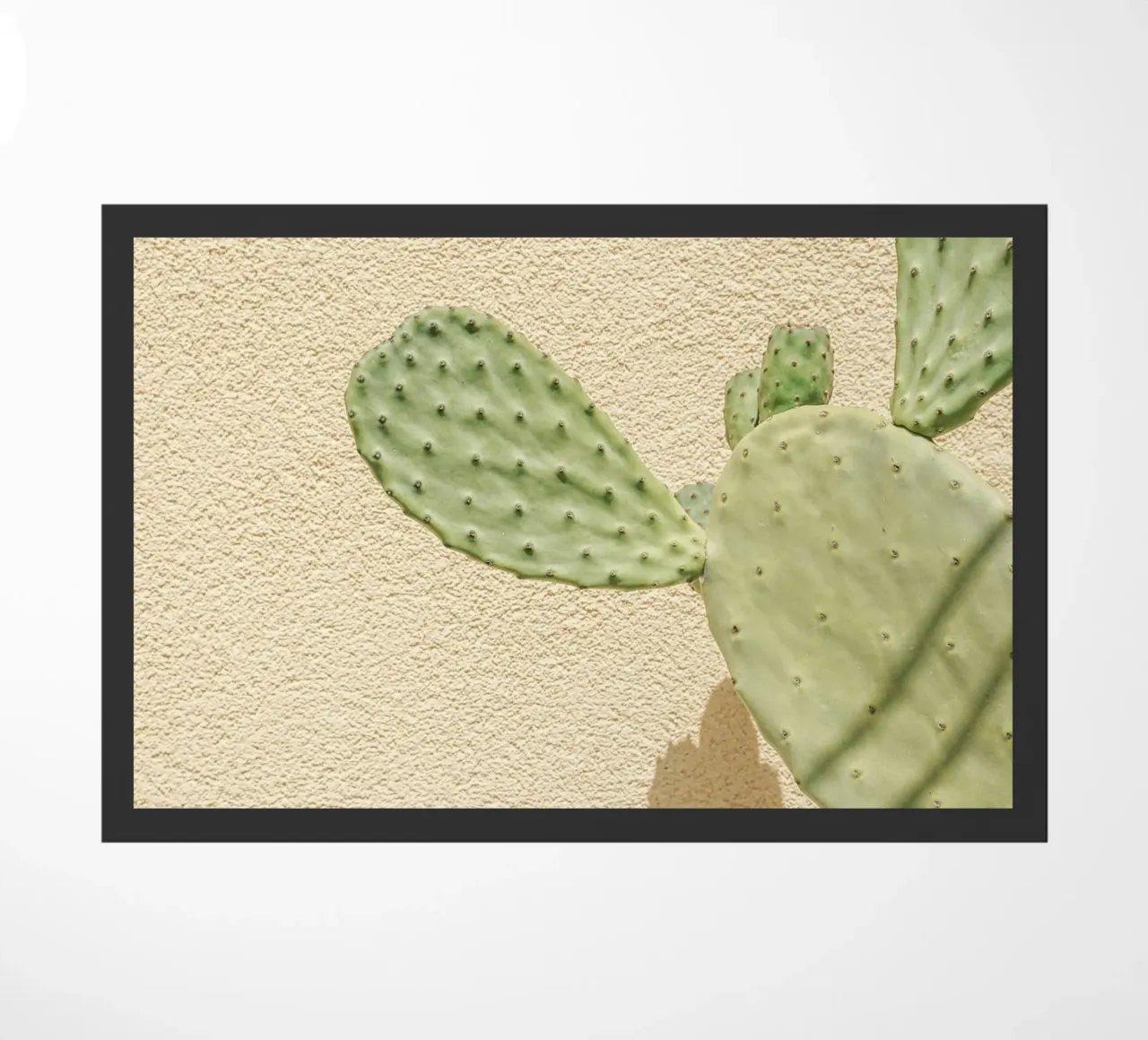 Cactus Gioco di ombre zerbino da Henrike Schenk Photography