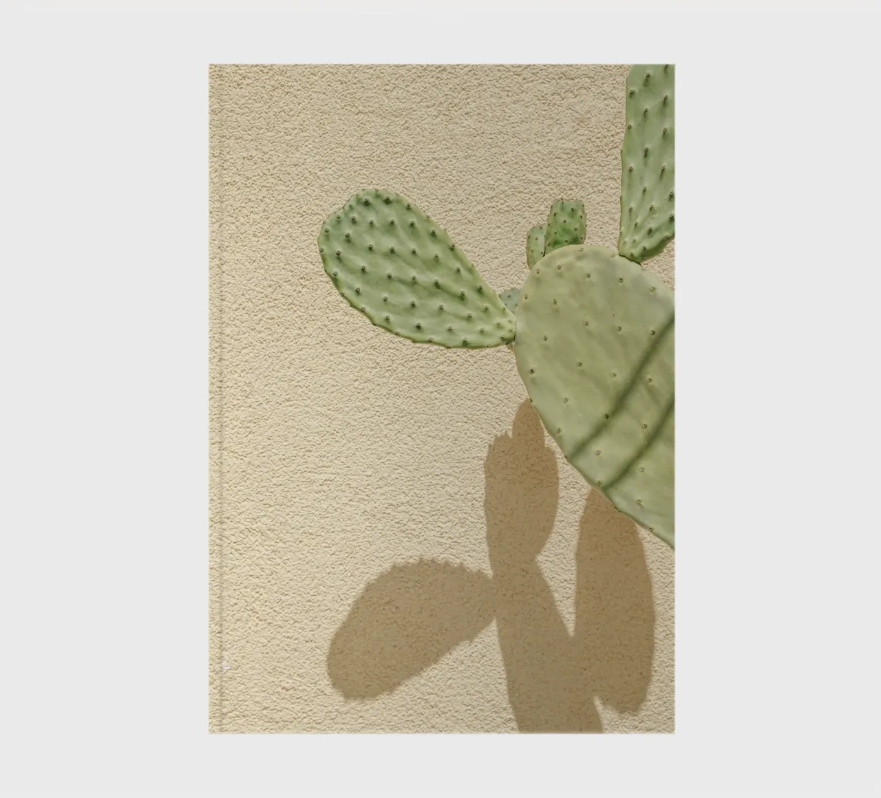 Cacti Shadowplay notebook by Henrike Schenk Photography