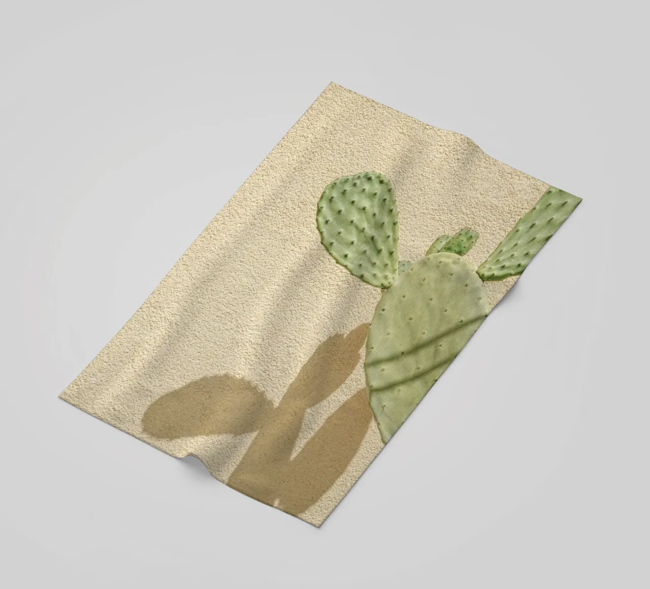 Cactus Gioco di ombre telo mare da Henrike Schenk Photography