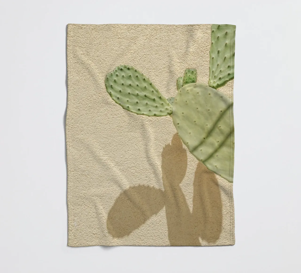 Cactus Gioco di ombre coperta in pile da Henrike Schenk Photography