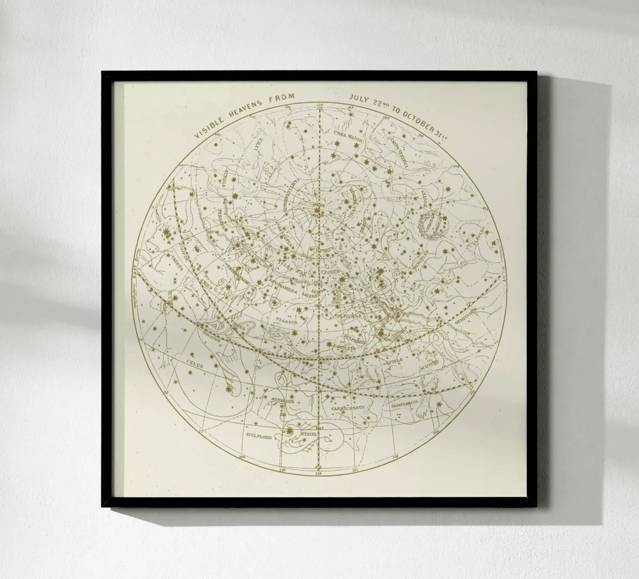 Visible Heavens Gold poster con telaio in alluminio da Astër
