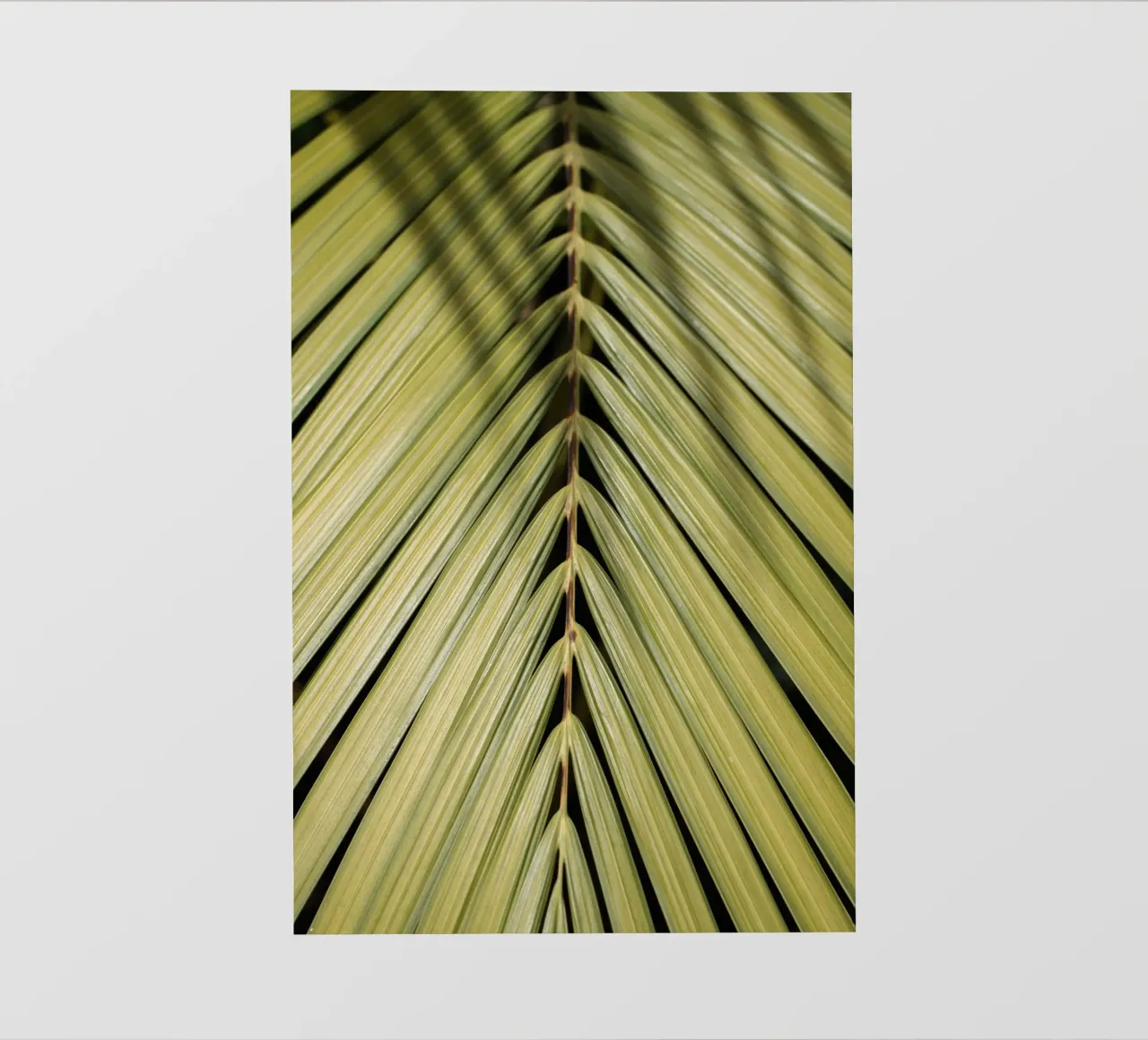 Palma tropicale telo in pvc da Henrike Schenk Photography