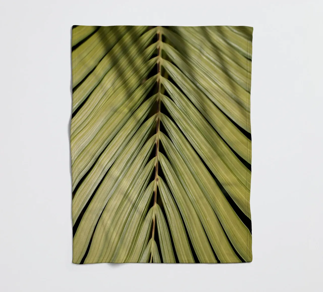 Palma tropicale coperta in pile da Henrike Schenk Photography