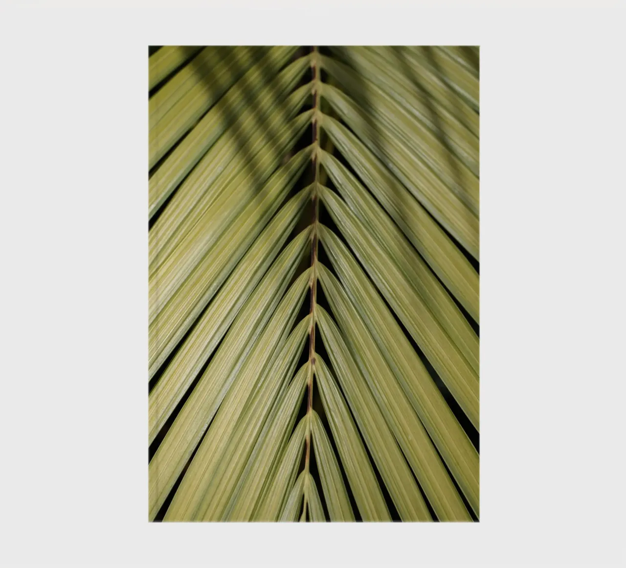 Tropical Palm notebook by Henrike Schenk Photography