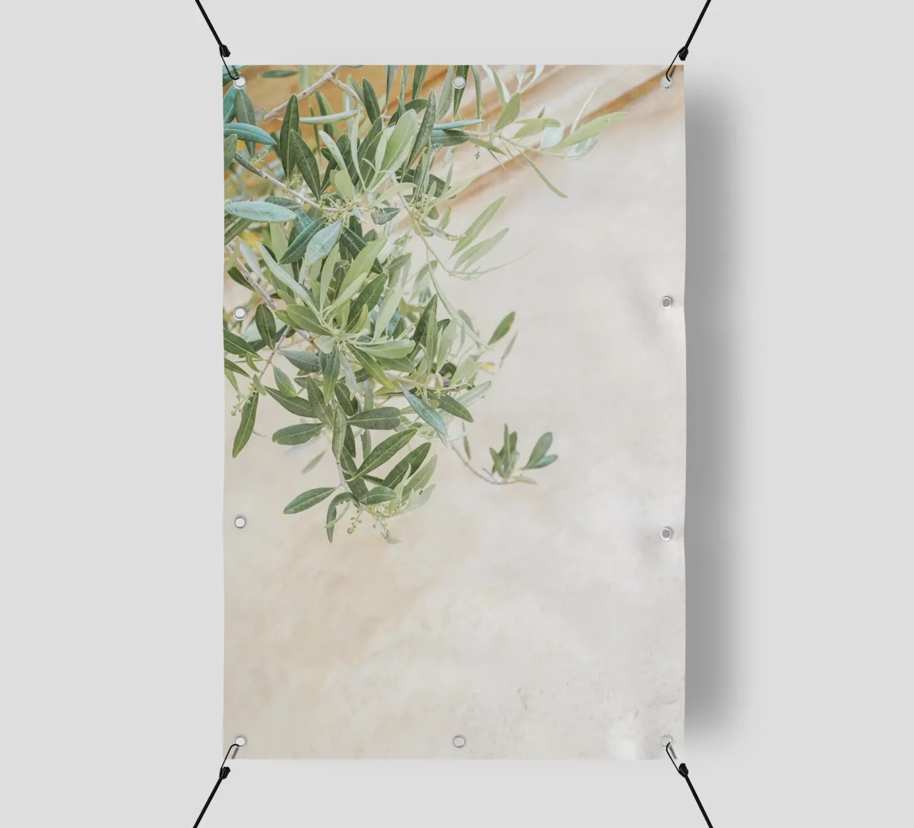 Foglie di ulivo telo in pvc da Henrike Schenk Photography