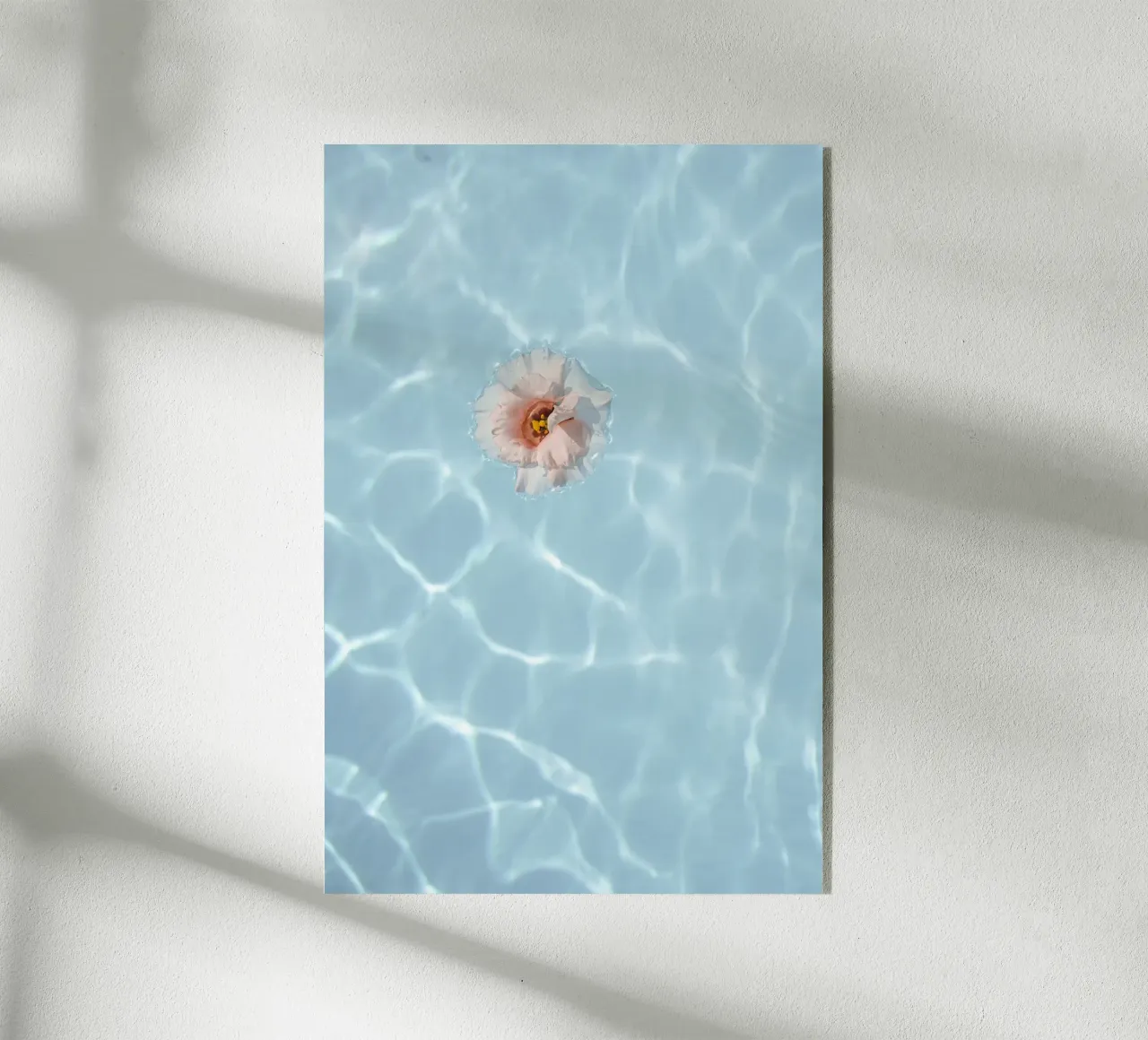 Floating Flower plexiglass da Henrike Schenk Photography
