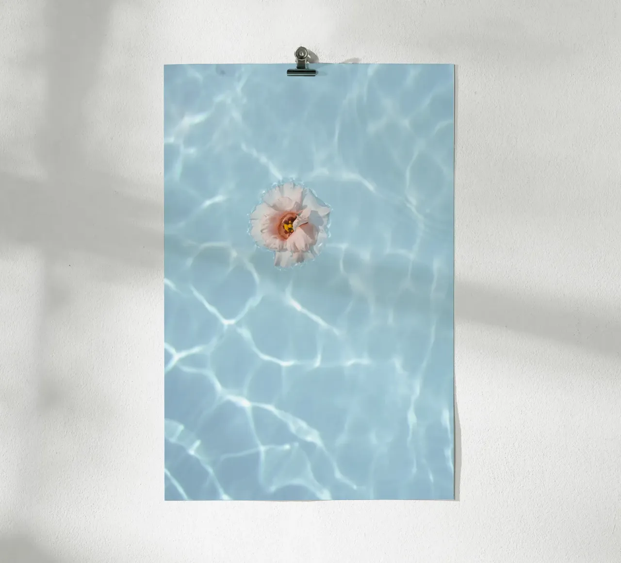 Floating Flower poster by Henrike Schenk Photography