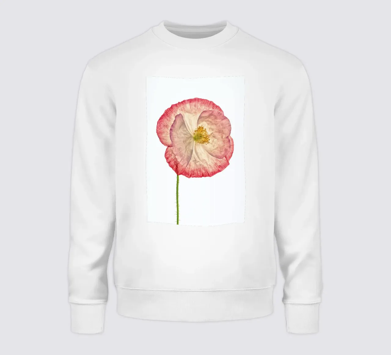 Poppy 3 felpa da Curious Collections by Marielle Leenders