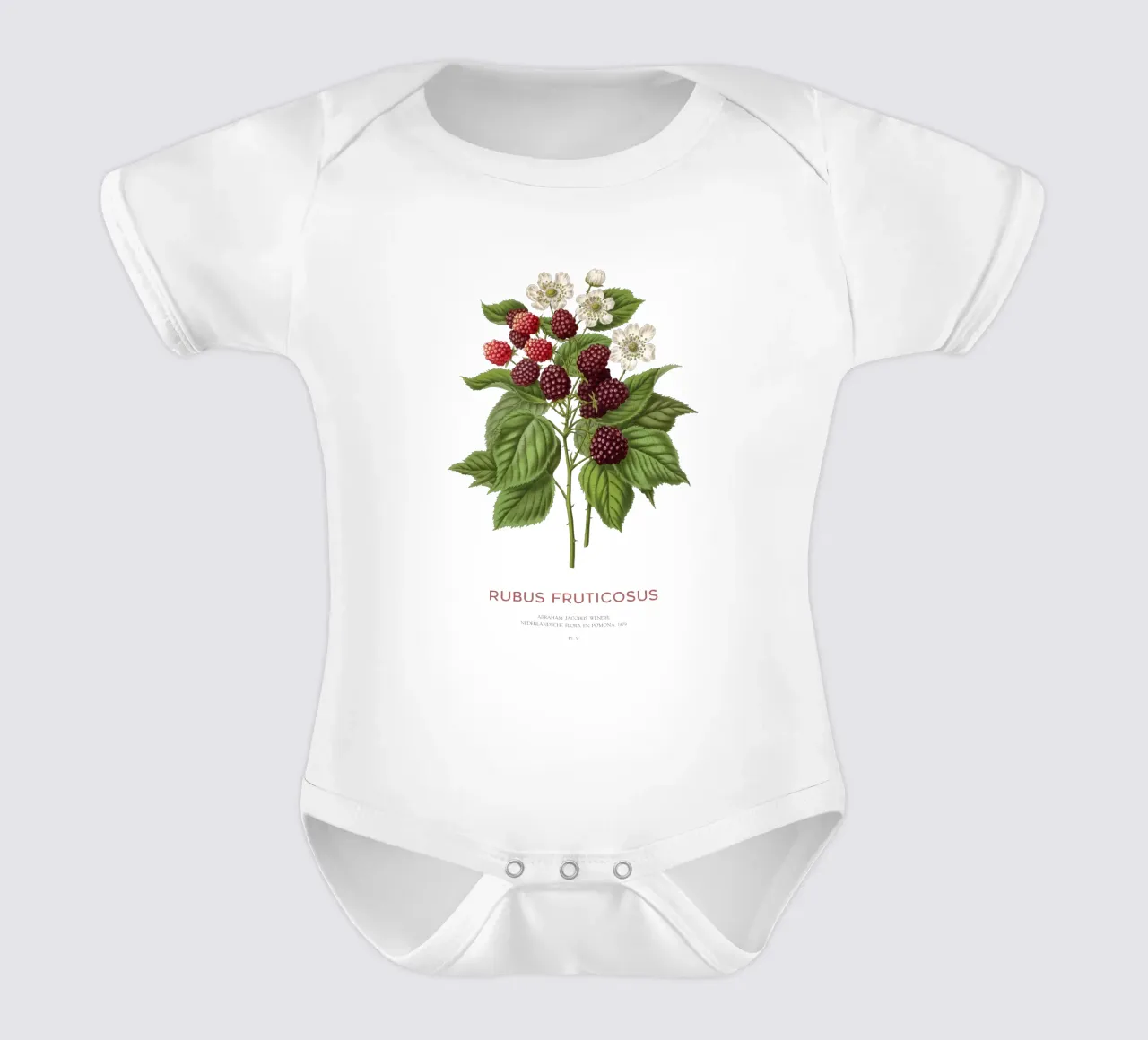 Brombeere oder Rubus fruticosus Kurzarm Babybody von Vintagrafica