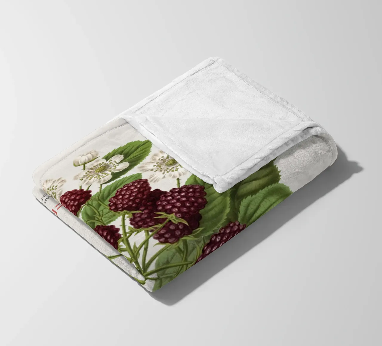 Blackberry or Rubus fruticosus fleece blanket by Vintagrafica