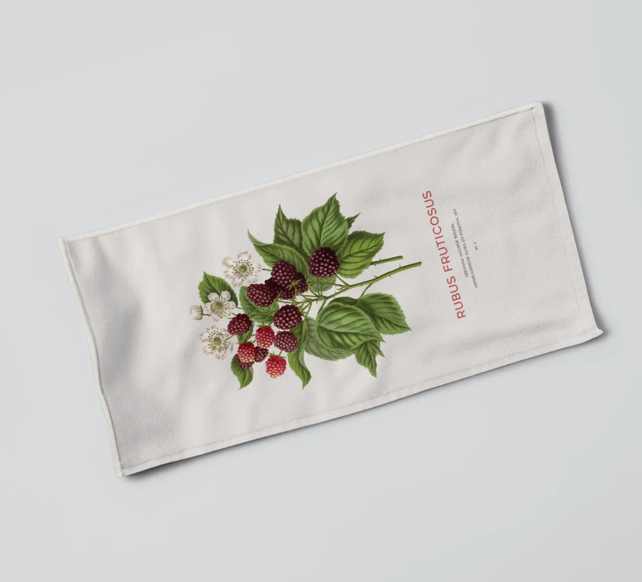 Brombeere oder Rubus fruticosus Handtuch von Vintagrafica