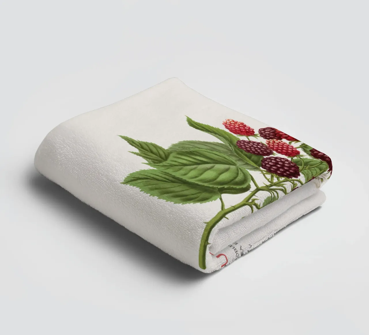 Brombeere oder Rubus fruticosus Handtuch von Vintagrafica