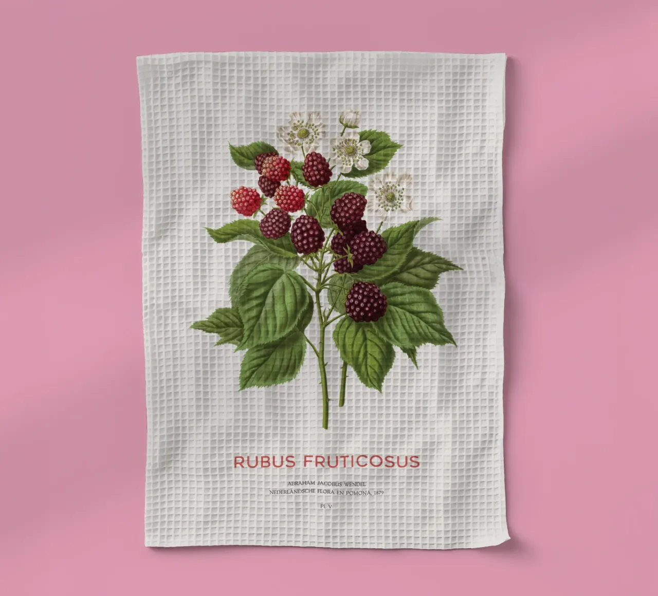 Blackberry or Rubus fruticosus tea towel by Vintagrafica