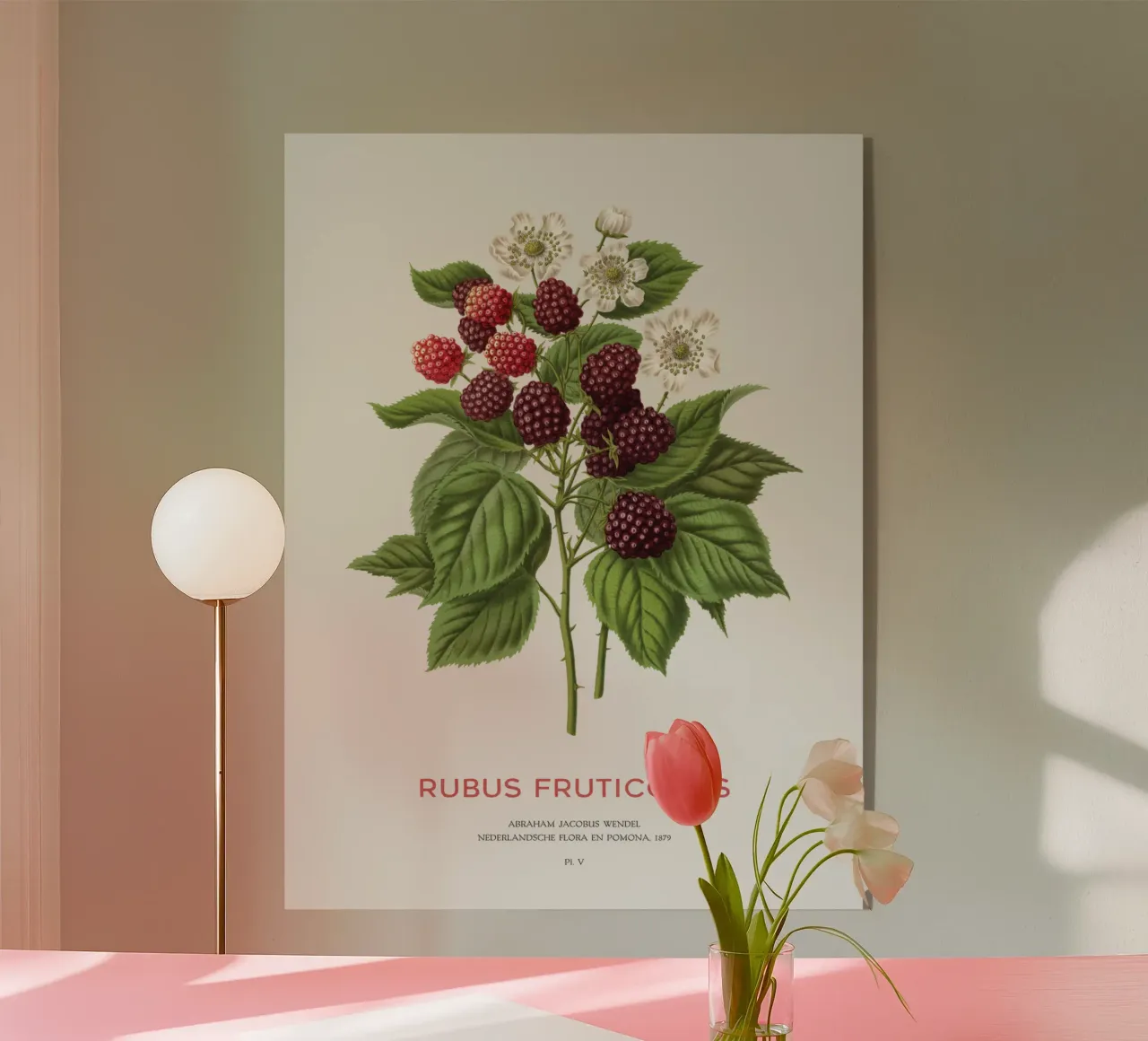 Blackberry or Rubus fruticosus acrylic glass by Vintagrafica