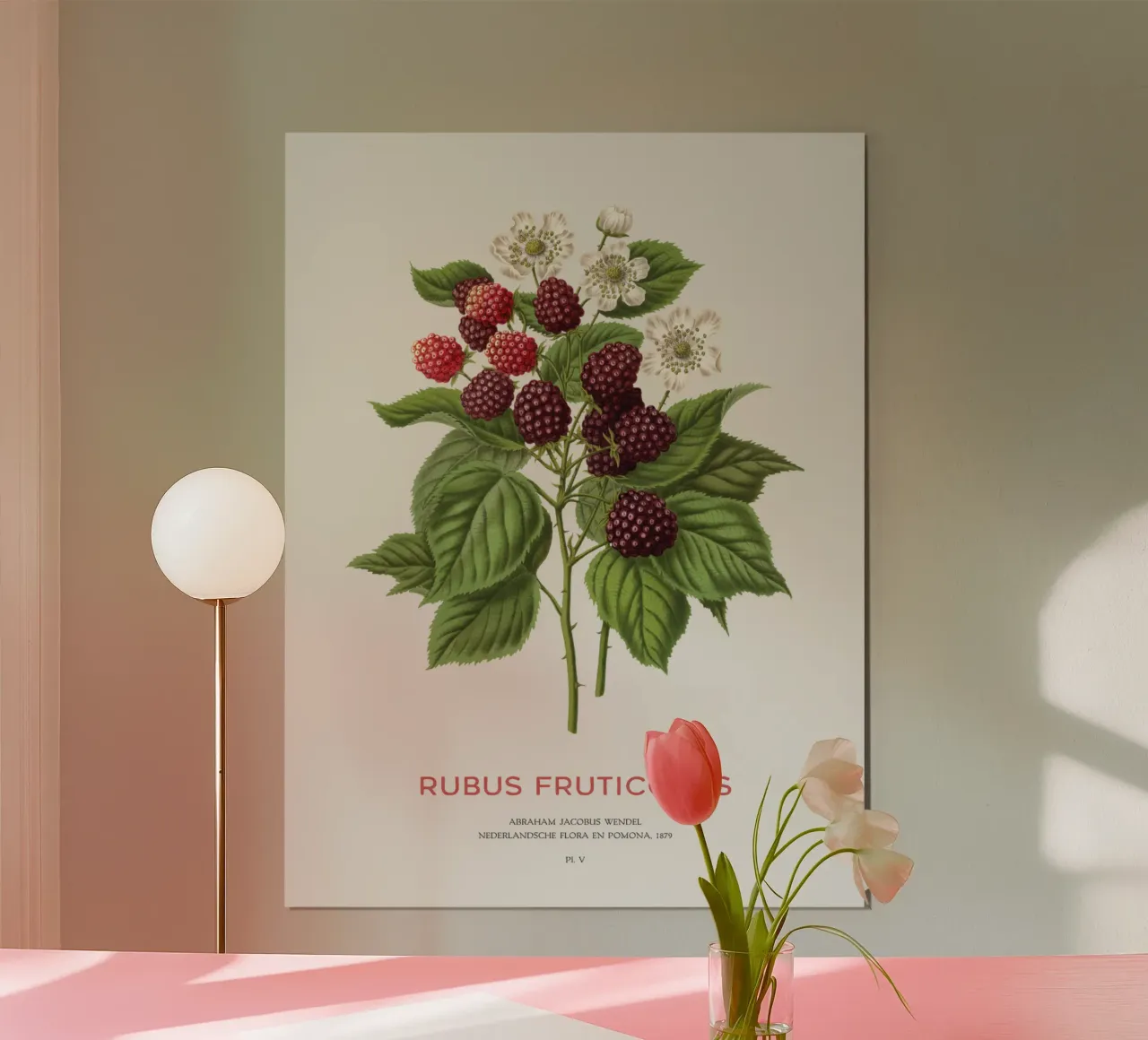 Blackberry or Rubus fruticosus poster by Vintagrafica