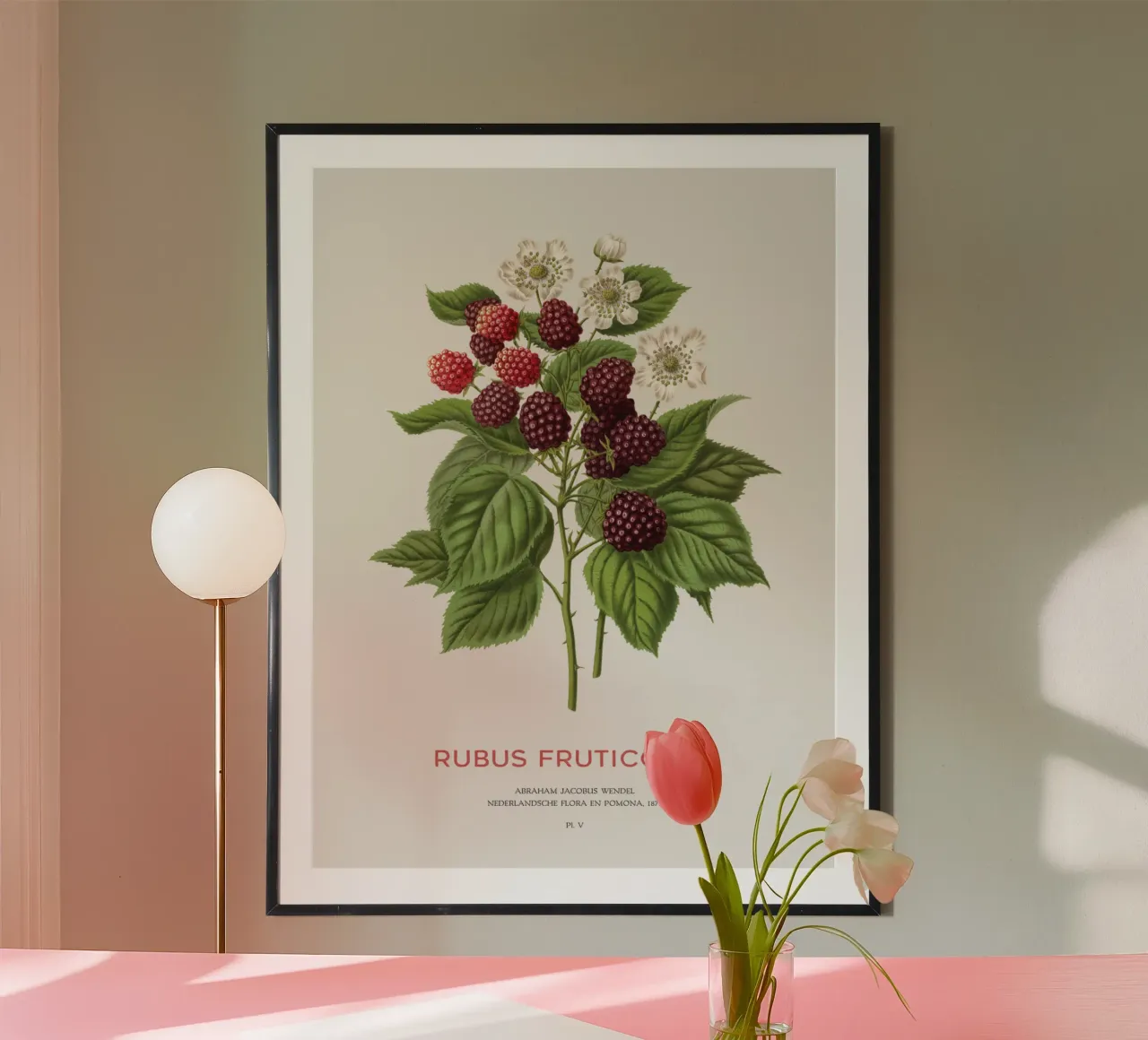 Blackberry or Rubus fruticosus poster by Vintagrafica