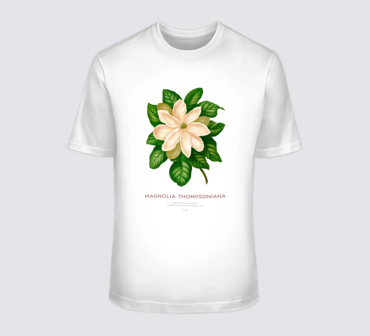 Magnolia or Magnolia Thompsoniana t-shirt by Vintagrafica