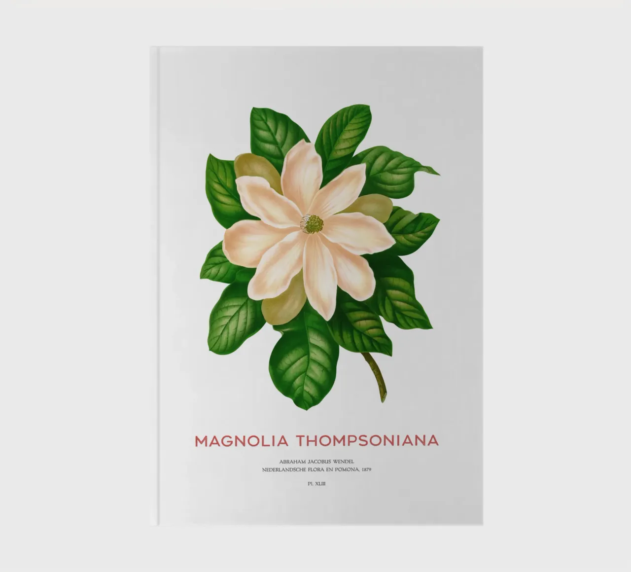 Magnolia or Magnolia Thompsoniana notebook by Vintagrafica