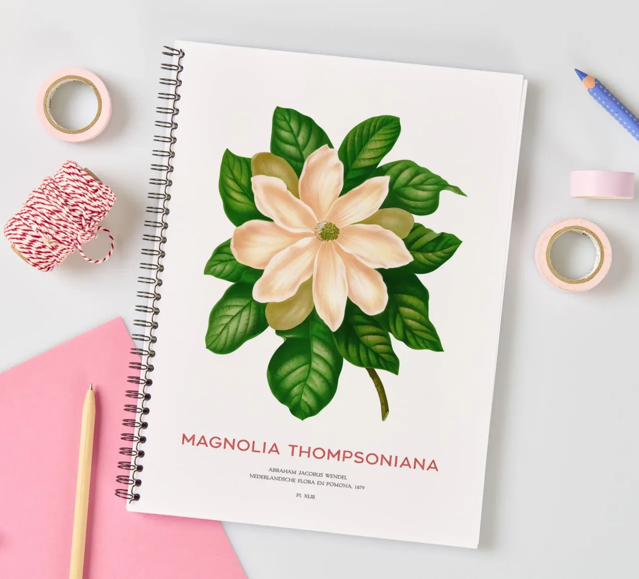 Magnolia or Magnolia Thompsoniana spiral notebook by Vintagrafica