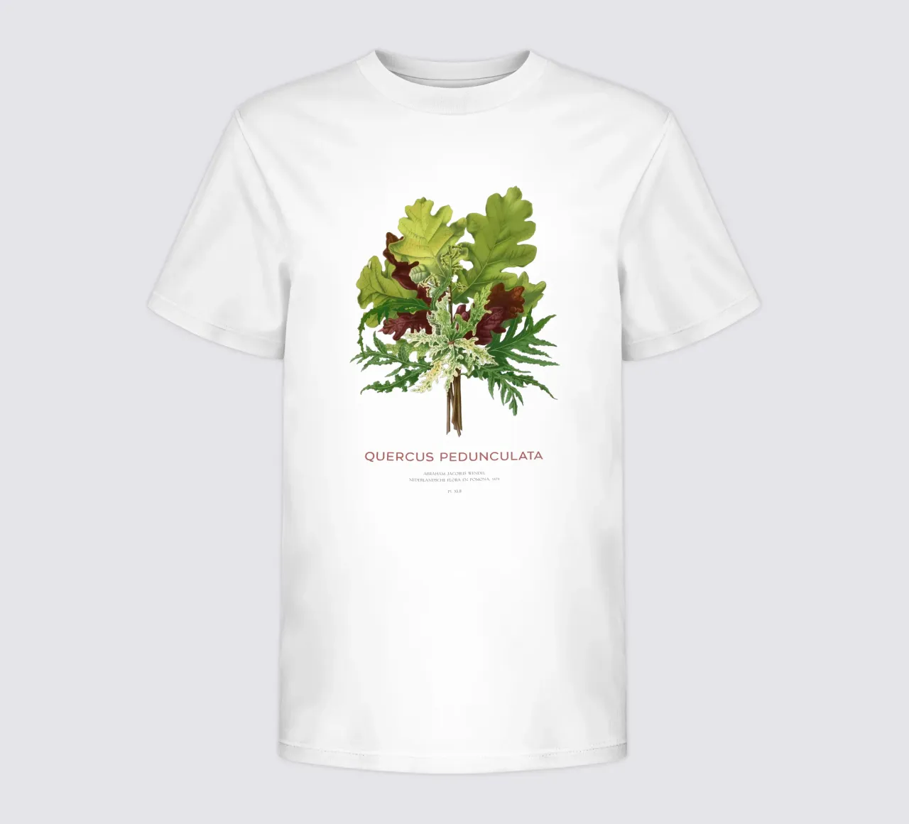 Pedunculate oak or Quercus pedunculata kids t-shirt by Vintagrafica