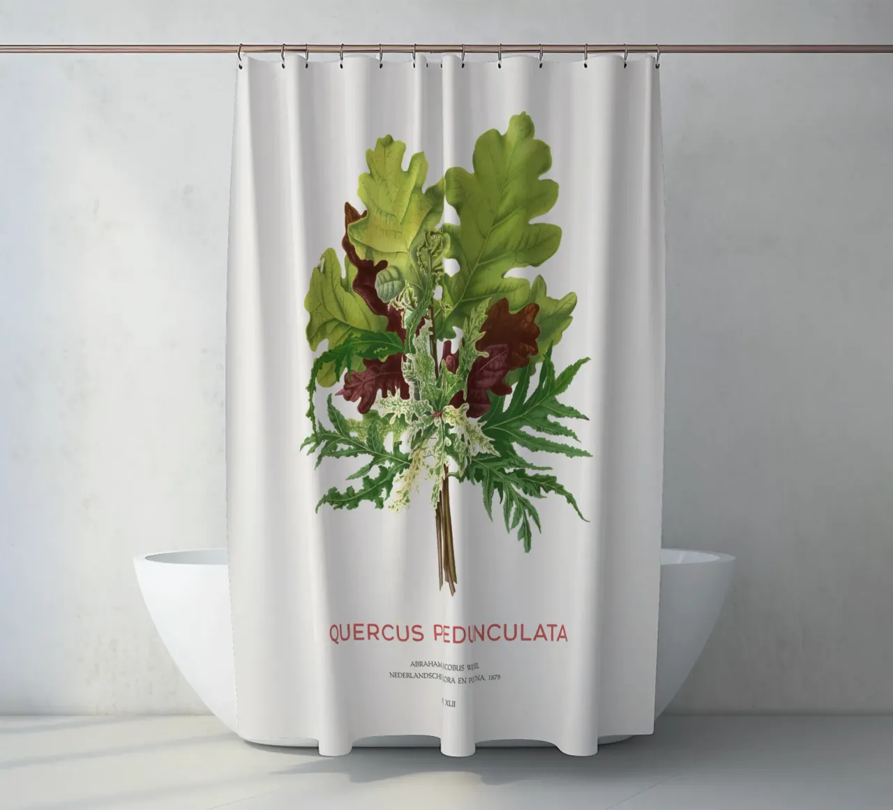 Stieleiche oder Quercus pedunculata Duschvorhang von Vintagrafica