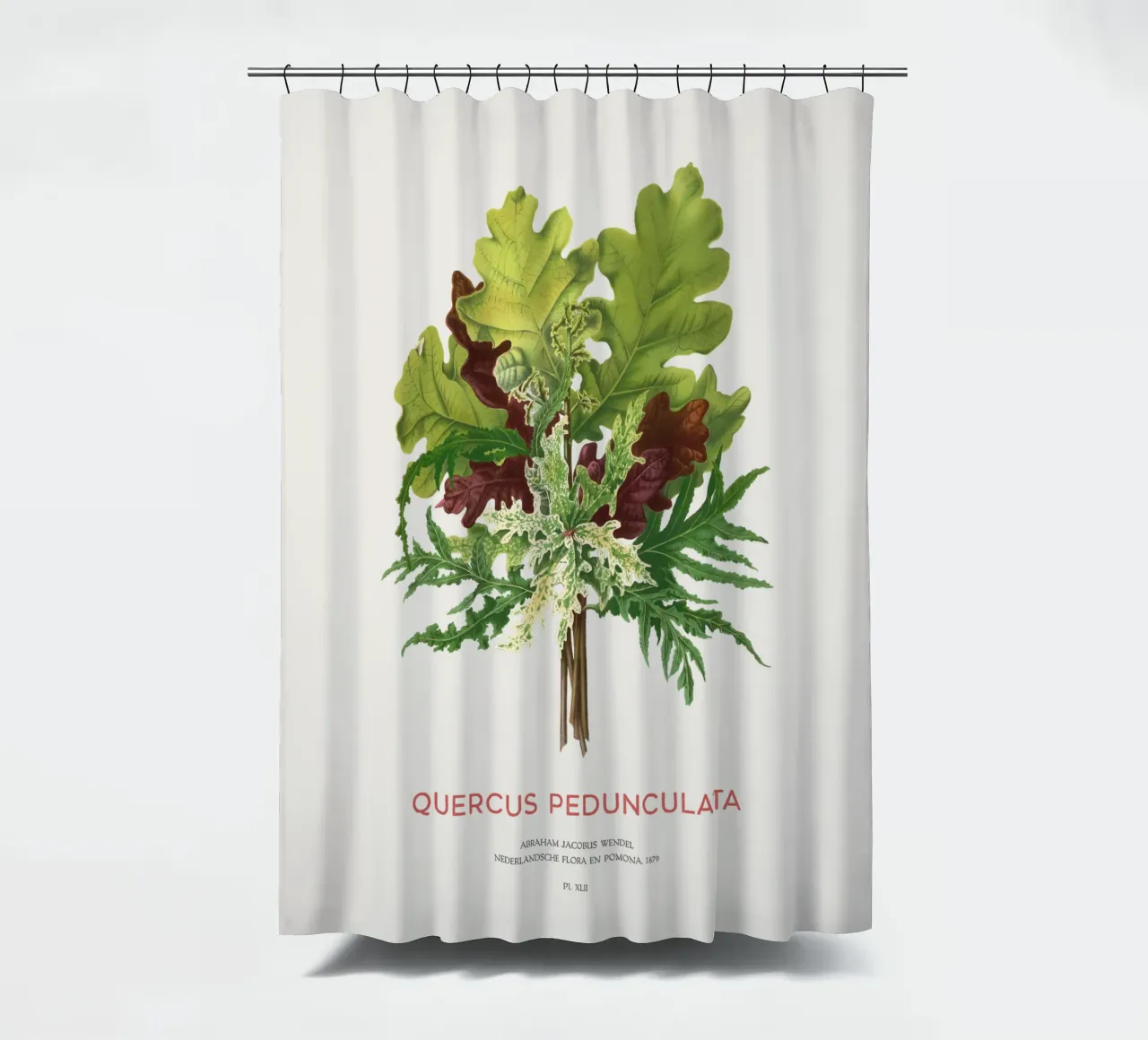 Stieleiche oder Quercus pedunculata Duschvorhang von Vintagrafica